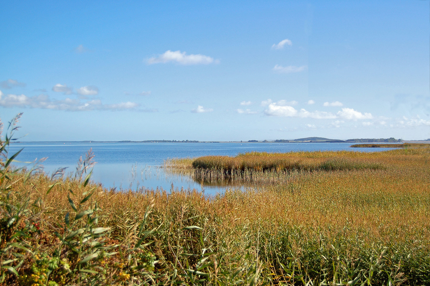 Wiek, Rügen